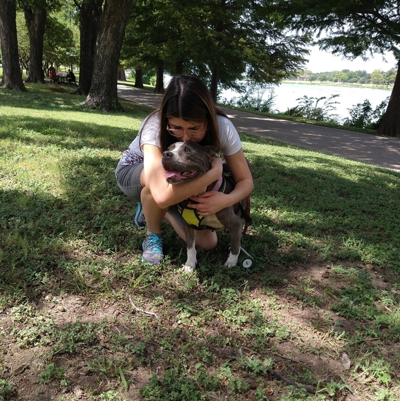 Hi Welcome /// Hola - Picture 5 of 16